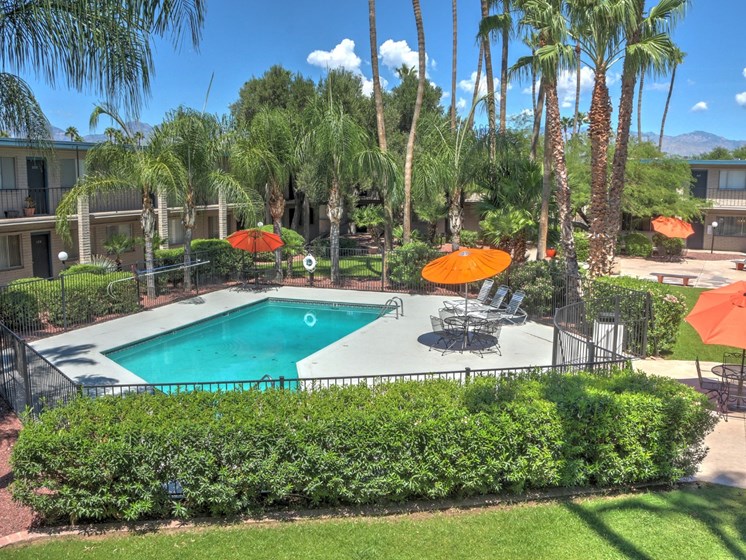 Landscaping, Pool & Pool Patio at Canyon Vista Apartments in Tucson, AZ